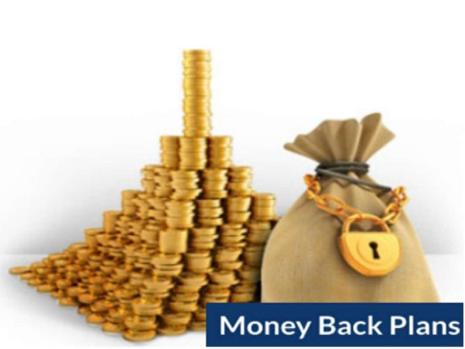 lic money back plans
