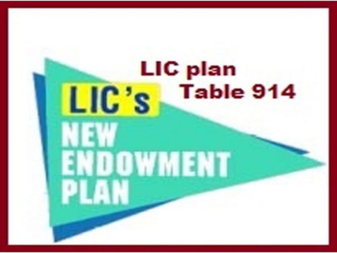 new endowment plan